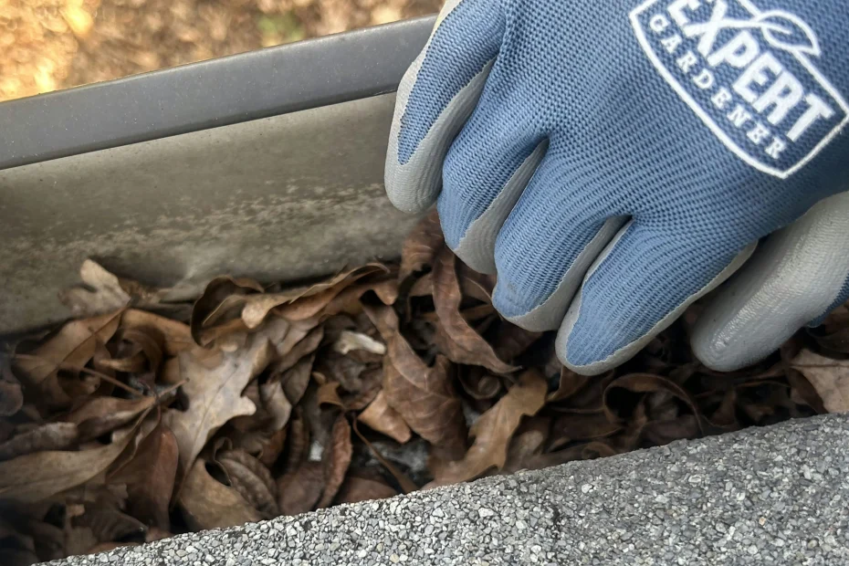 Gutter Cleaning Loganville