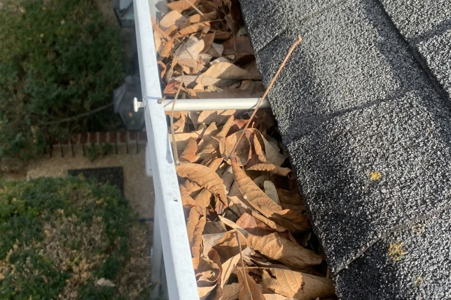 Gutter Cleaning Loganville