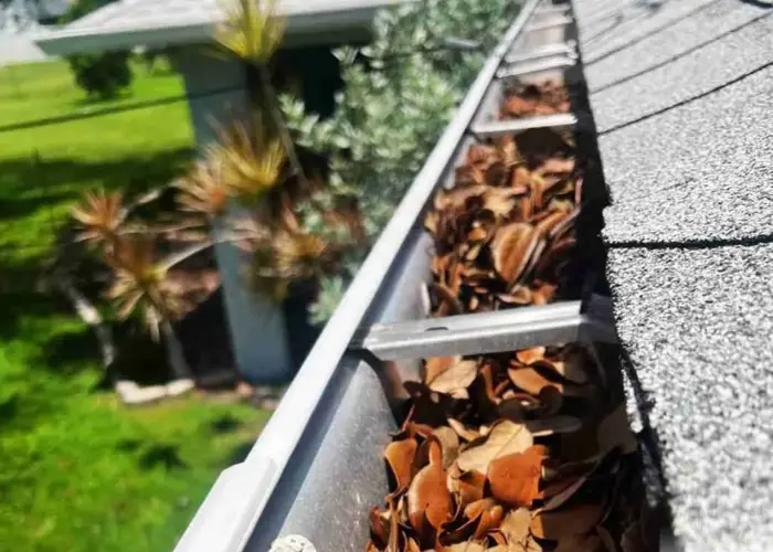 Gutter Cleaning Loganville home page